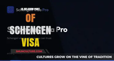 Exploring Belgium's Role in the Schengen Visa Agreement