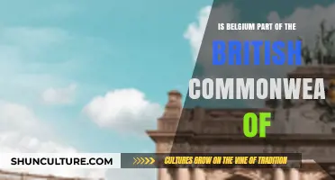 Exploring Belgium's Relationship with the British Commonwealth