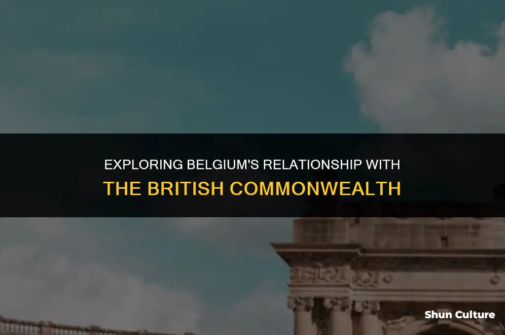 is belgium part of the british commonwealth of