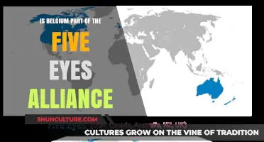 Belgium's Role in the Five Eyes Alliance: A Comprehensive Overview