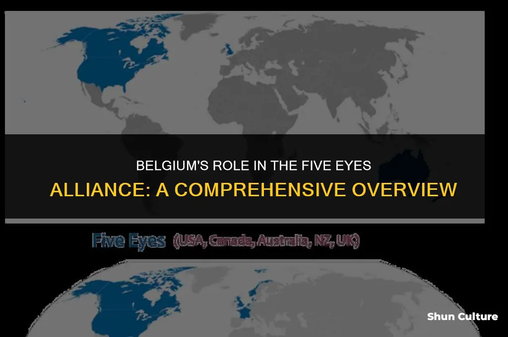is belgium part of the five eyes alliance