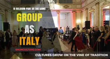 Exploring Cultural Ties: Belgium and Italy's Shared Heritage