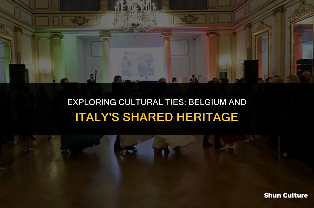 is belgium part of the same group as italy