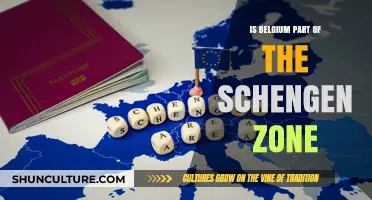 Exploring Belgium's Role in the Schengen Zone: Facts and Insights