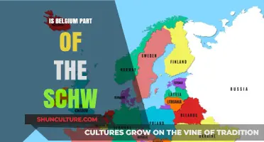 Exploring Belgium's Relationship with the Schengen Area