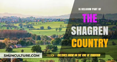 Exploring Belgium's Connection to the Shagren Country: Facts and Myths