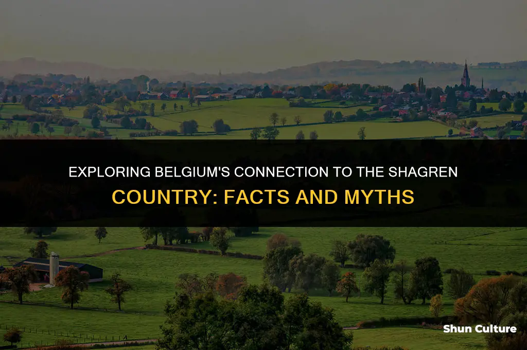 is belgium part of the shagren country