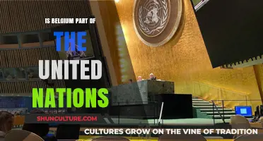 Exploring Belgium's Role and Membership in the United Nations