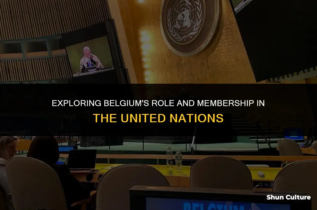 is belgium part of the united nations