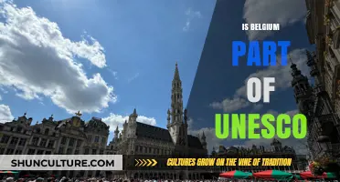 Exploring Belgium's Rich Heritage: A UNESCO Member State