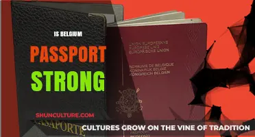 Unlocking Global Doors: The Power of a Belgian Passport