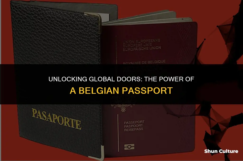 is belgium passport strong