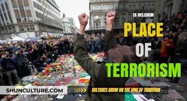 Unveiling the Truth: Terrorism's Presence in Belgium