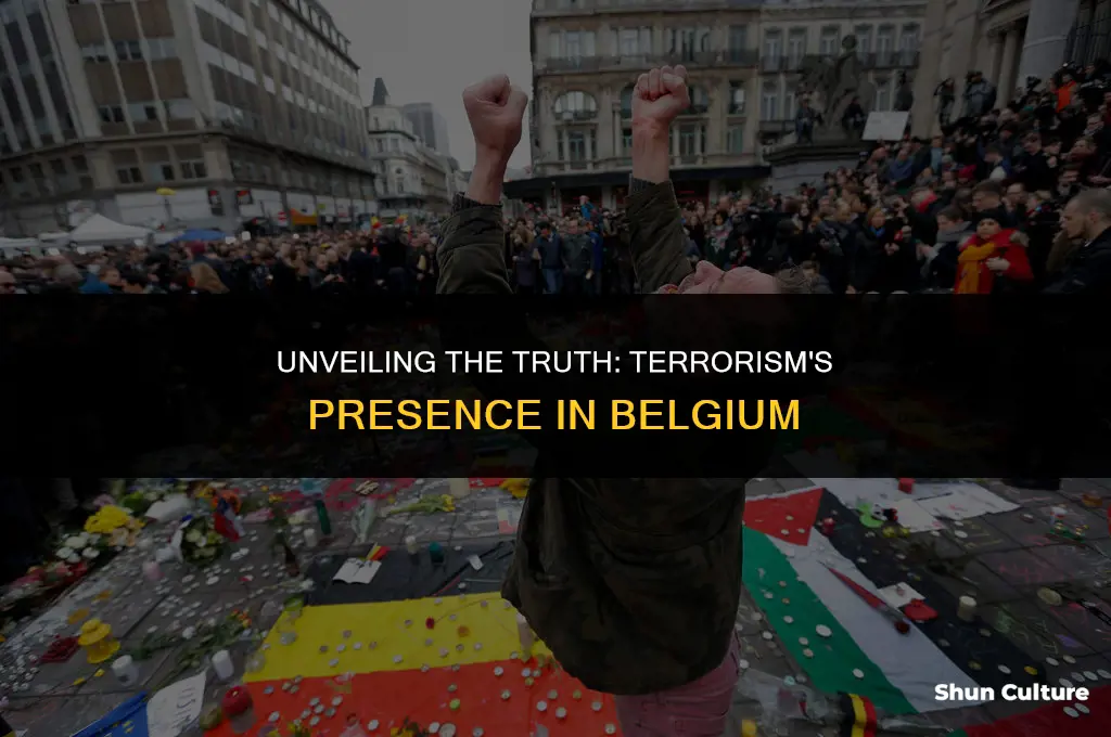 is belgium place of terrorism