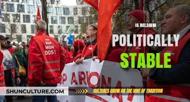 Navigating Belgium's Political Landscape: Stability Amidst Diversity