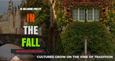 Autumn Charms: Unveiling Belgium's Scenic Beauty in Fall