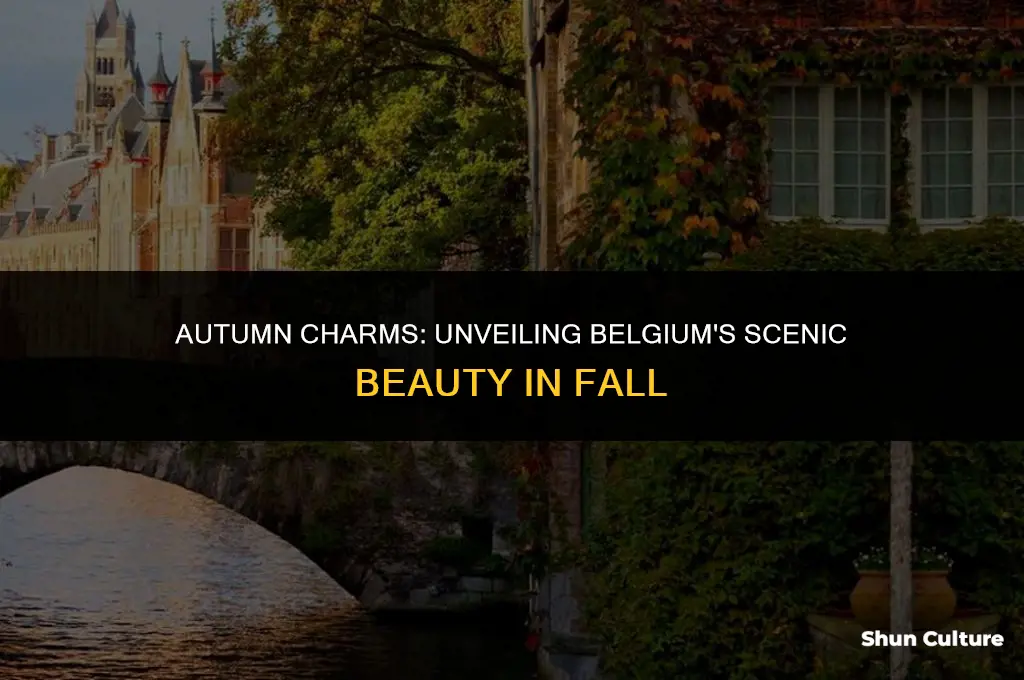 is belgium pretty in the fall