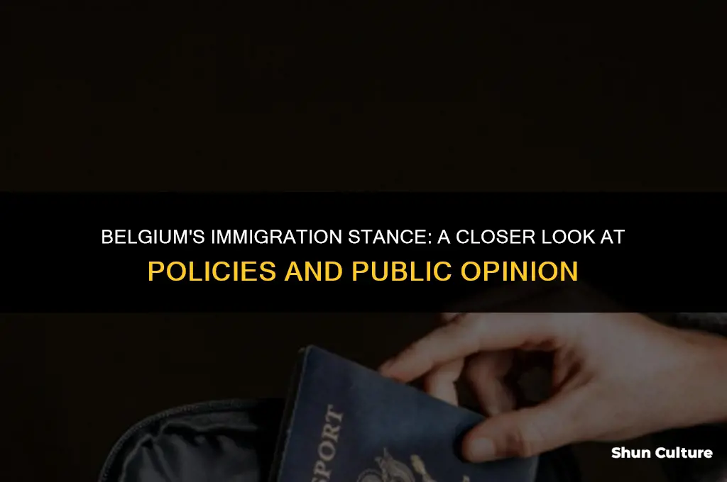is belgium pro immigration