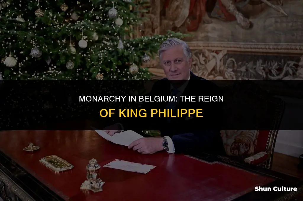 is belgium ruled by a king