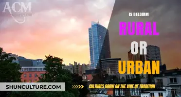 Exploring Belgium's Urban-Rural Divide: A Comprehensive Overview