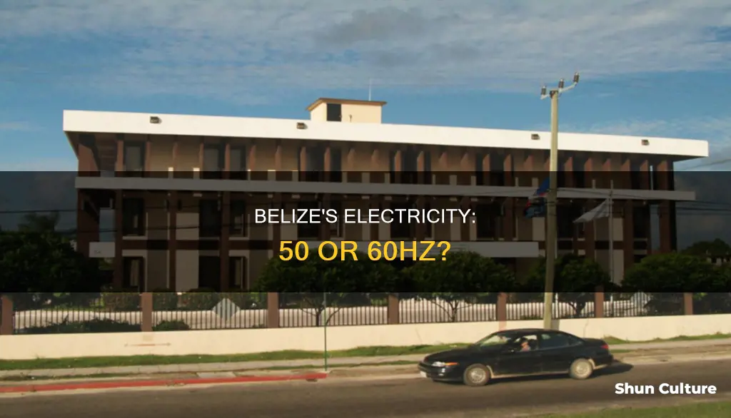 is belize 50 or 60hz