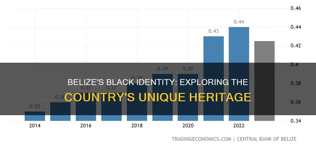 is belize a black country