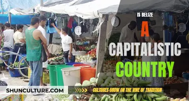 Belize's Capitalist Economy: A Comprehensive Overview