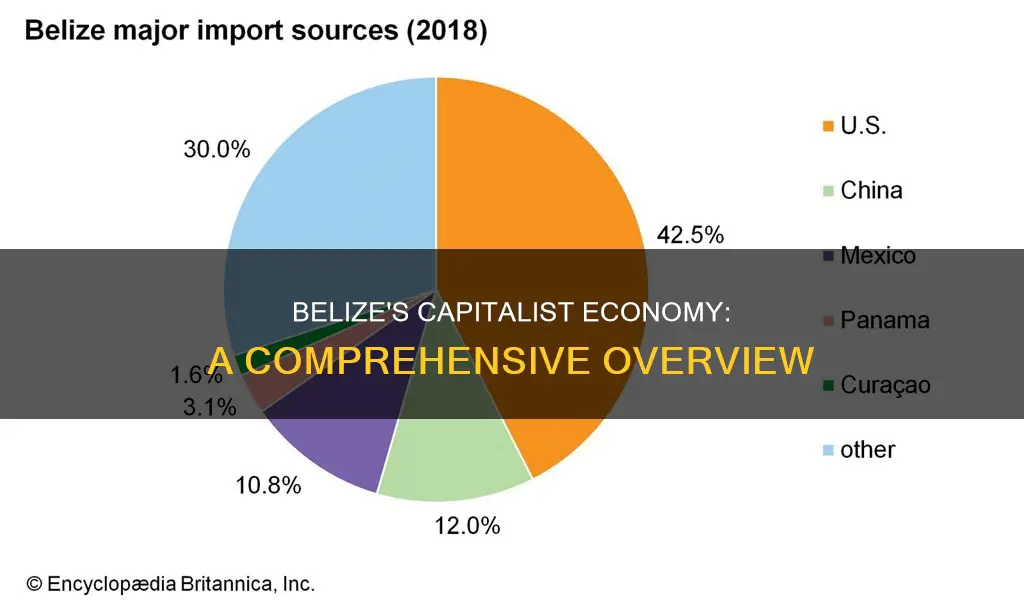 is belize a capitalistic country