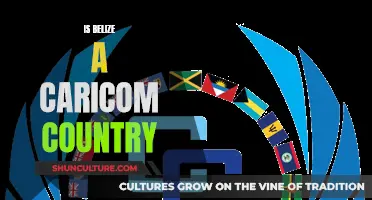 Belize's Membership in CARICOM: What You Need to Know