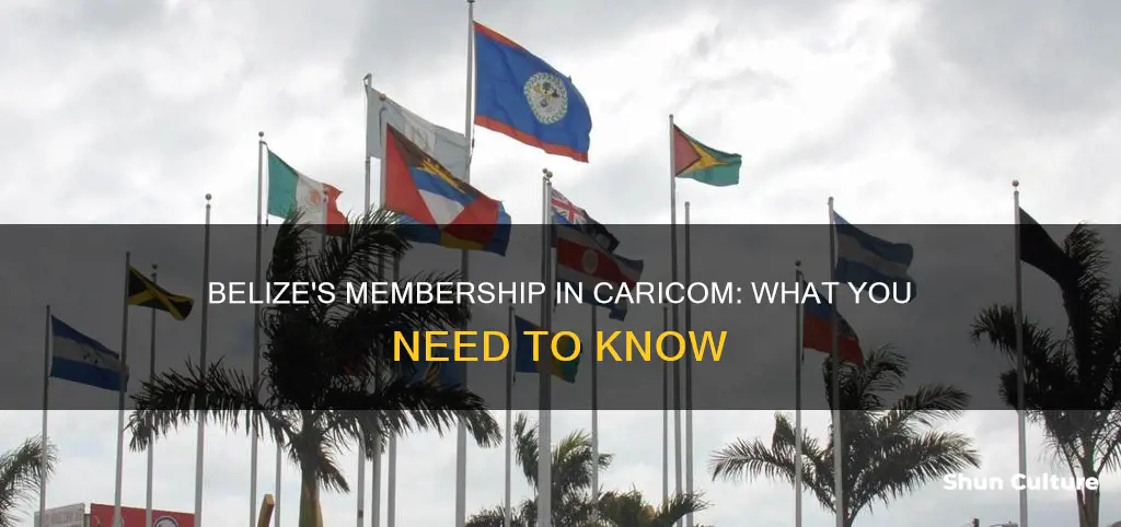 is belize a caricom country