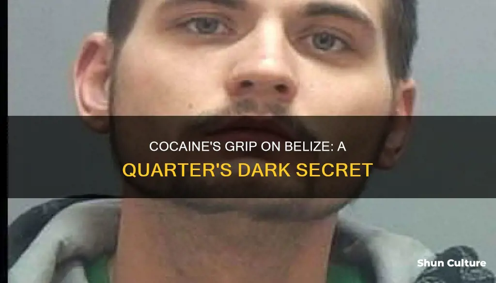 is belize a cocaine quarter