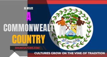 Belize's Commonwealth Status: What's the Deal?