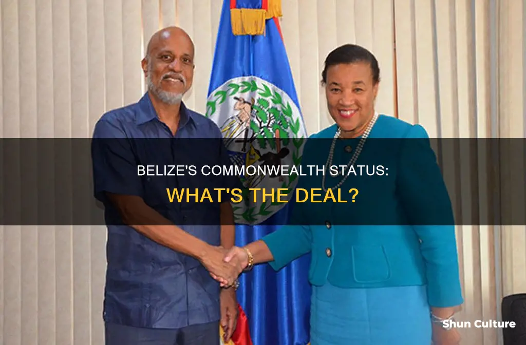 is belize a commonwealth country