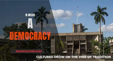 Belize's Political System: Democracy or Not?