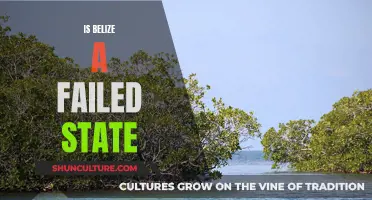 Belize: A Failing State?