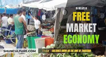 Belize: A Free Market Economy?