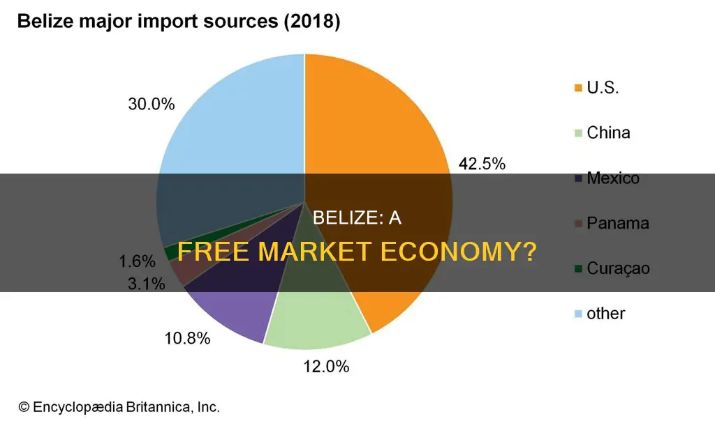 is belize a free market economy