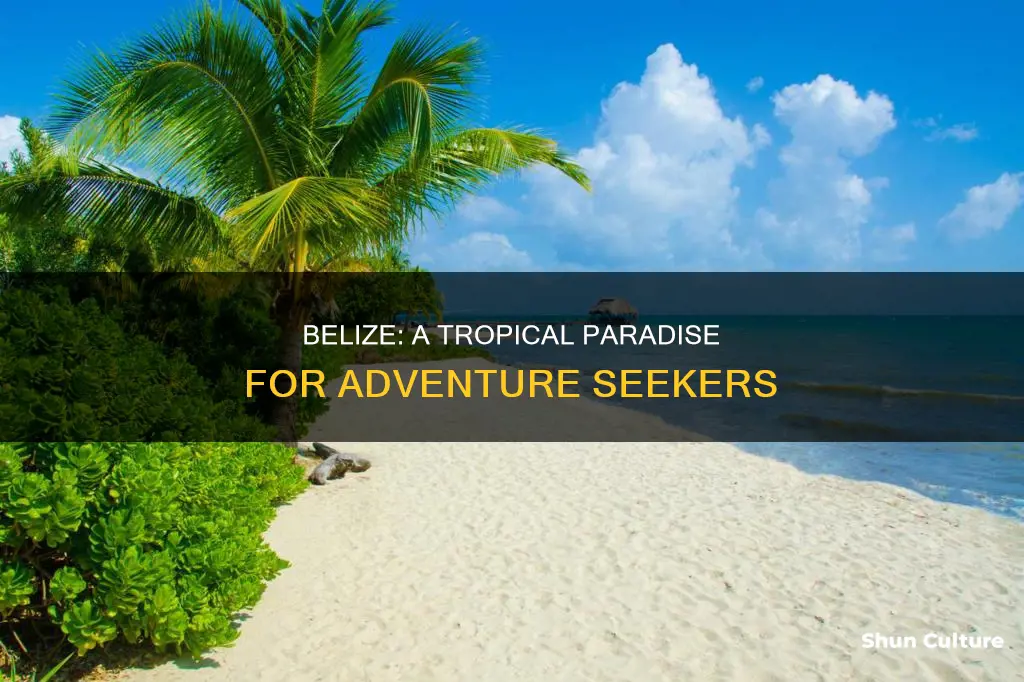 is belize a fun place to visit