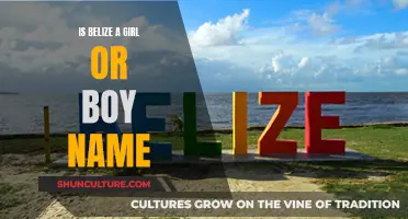 Belize: A Gender-Neutral Name for Your Baby