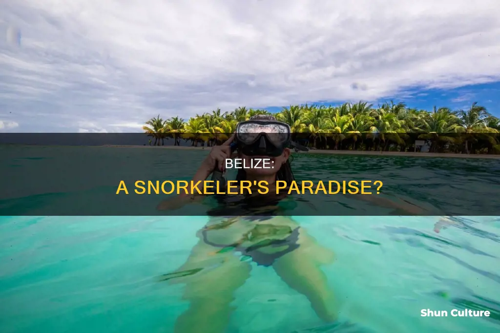 is belize a good place for snorkeling