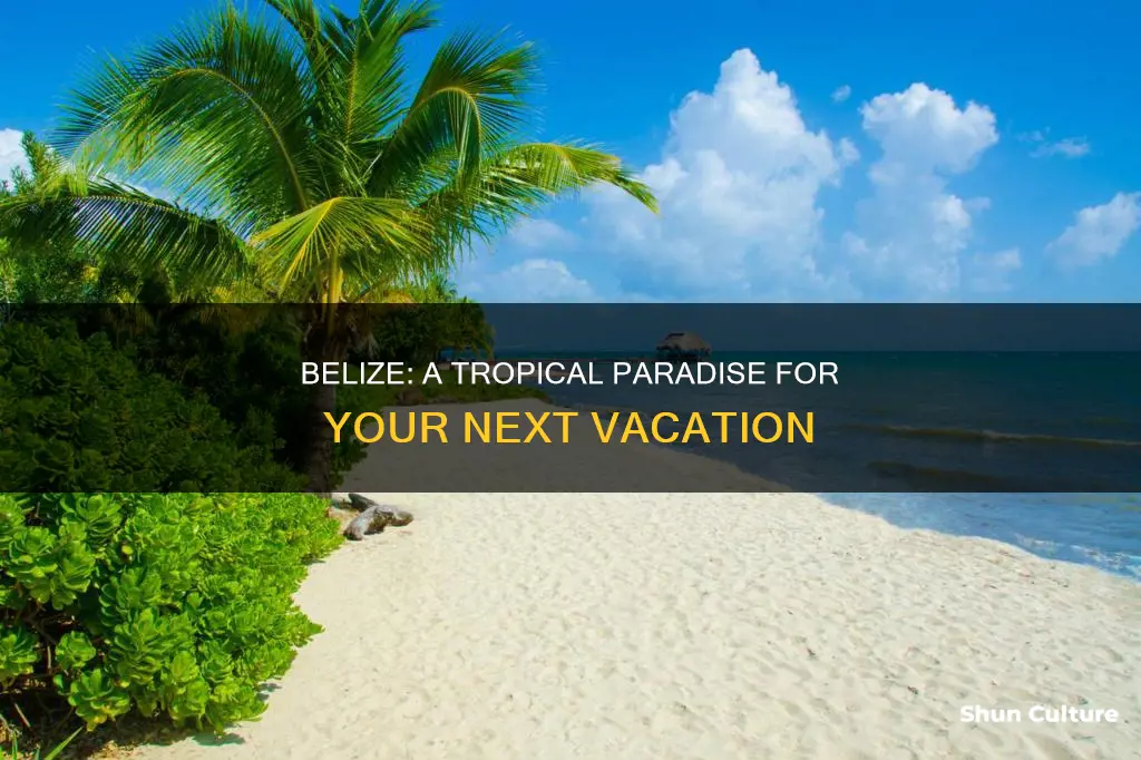 is belize a good vacation spot