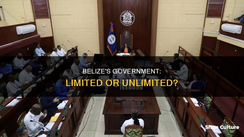 is belize a limited or unlimited government