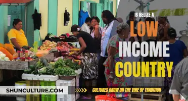 Belize's Income Status: A Developing Country's Story