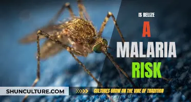 Malaria Risk in Belize: What You Need to Know