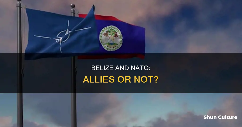 is belize a part of nato