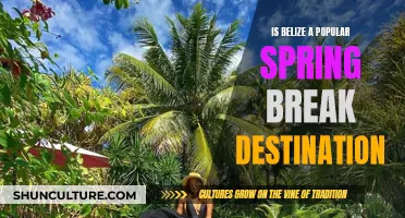 Spring Break in Belize: The Ultimate Escape