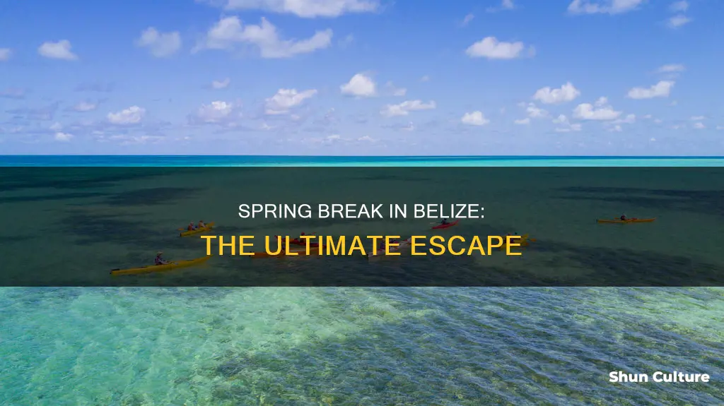 is belize a popular spring break destination