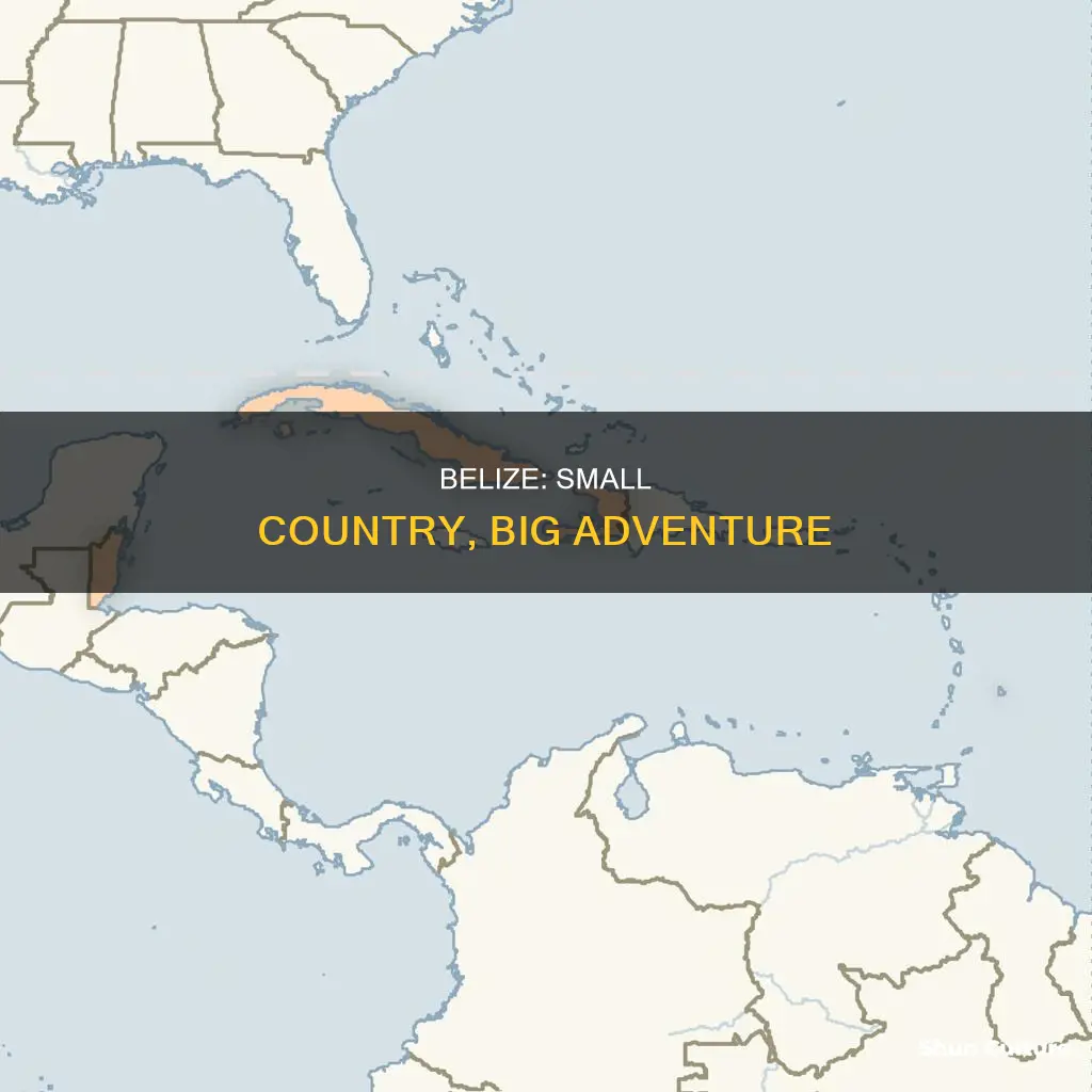 is belize a small country