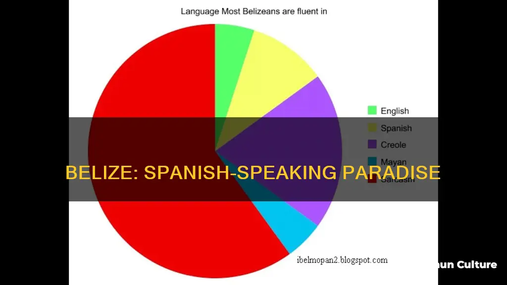 is belize a spanih speaking country