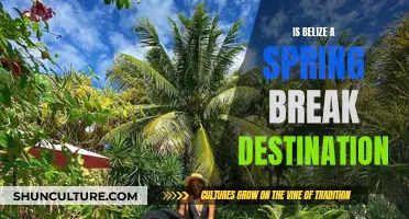 Belize: Spring Break's New Hot Spot?